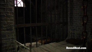 Betrayed Cargo: Brand Slave's Butts And Ship Them To New Owner