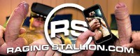 RagingStallion