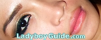 Ladyboy Guide